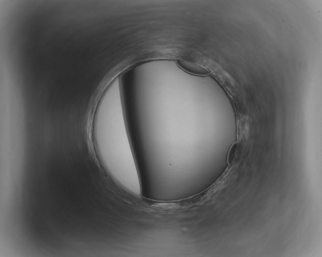 X0000102310051200807251049