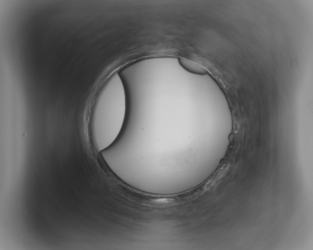 X0000102310053200807251049