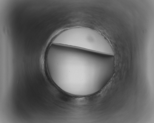 X0000102310054200807251049