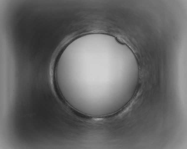 X0000102310055200807251049