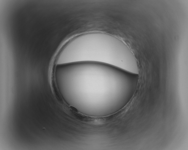 X0000102310056200807251049