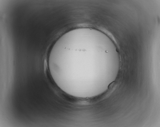 X0000102310061200807251049