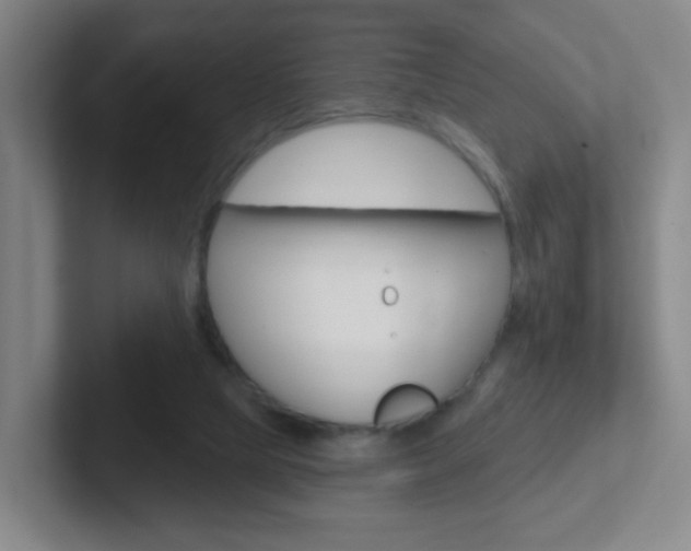 X0000102310065200807251049