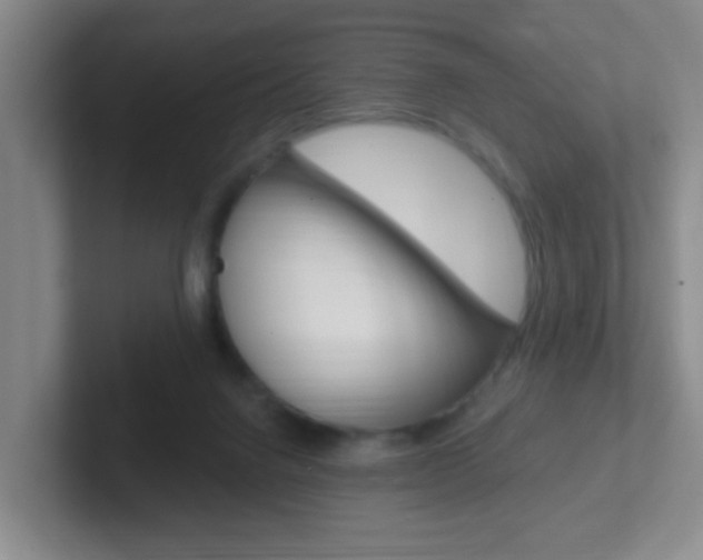 X0000102310072200807251049
