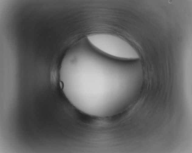X0000102310076200807251049