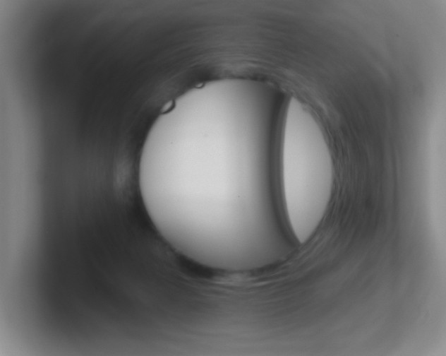X0000102310079200807251049