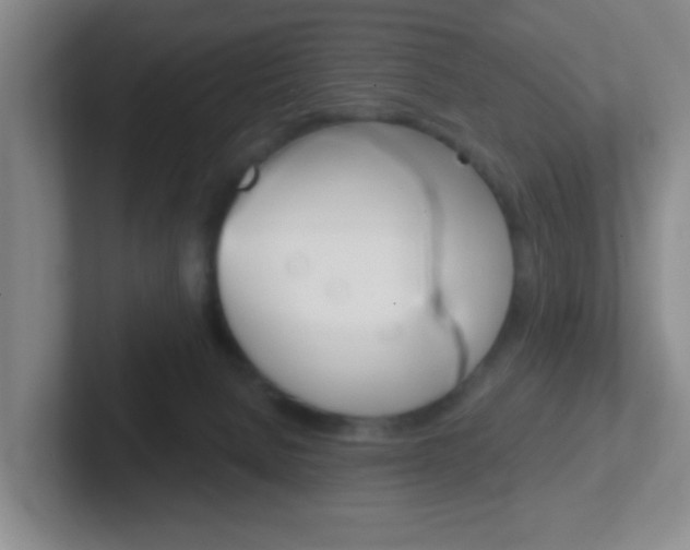X0000102310080200807251049
