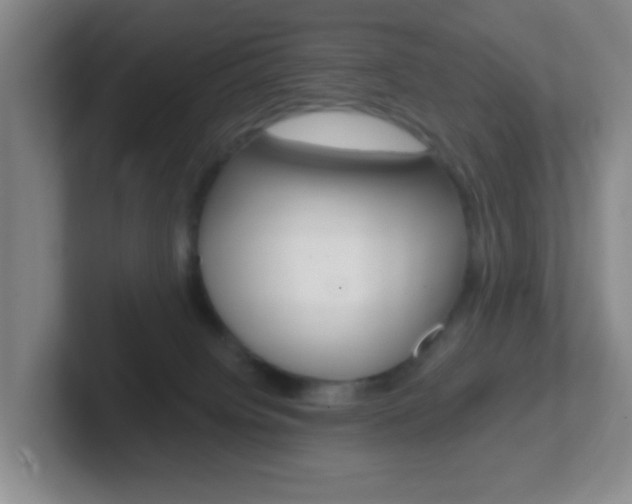 X0000102310084200807251050