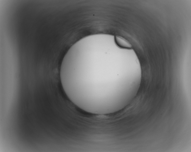 X0000102310087200807251050
