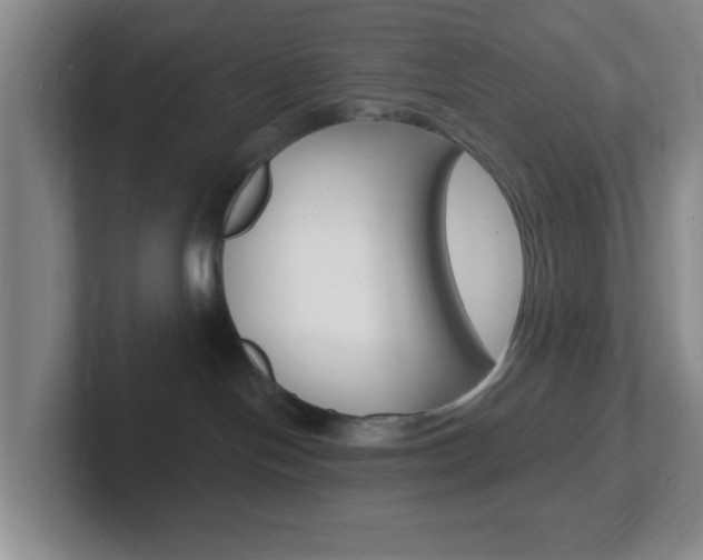 X0000102310094200807251050