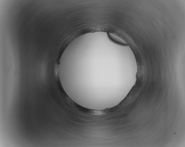 X0000102310095200807251050