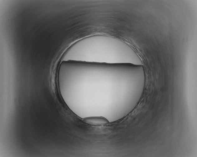 X0000102310098200807251049