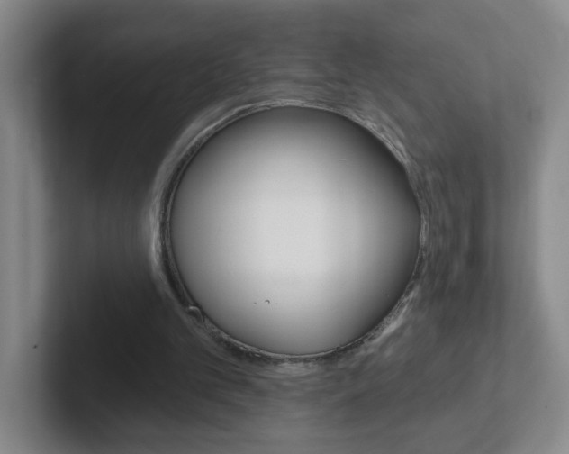 X0000102310101200807251049