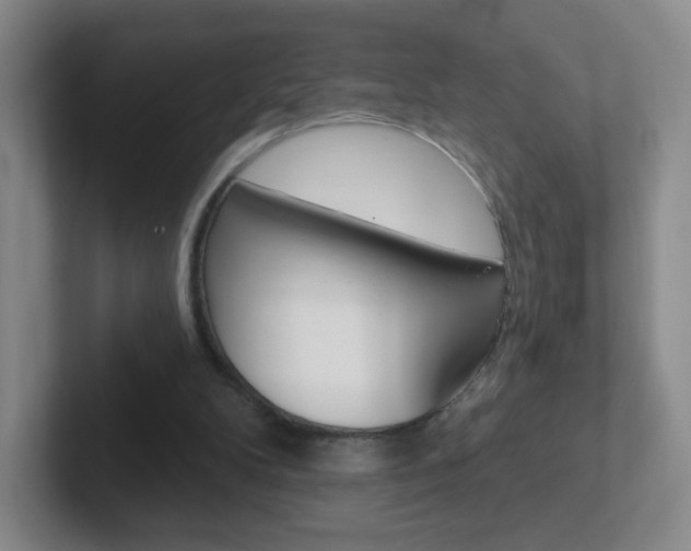 X0000102310104200807251049
