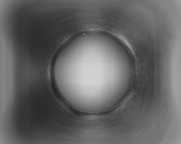 X0000102310105200807251049