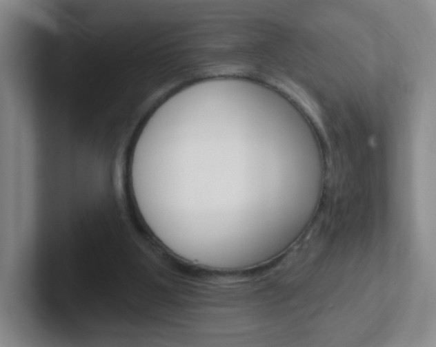 X0000102310107200807251049