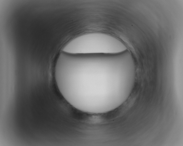 X0000102310114200807251049