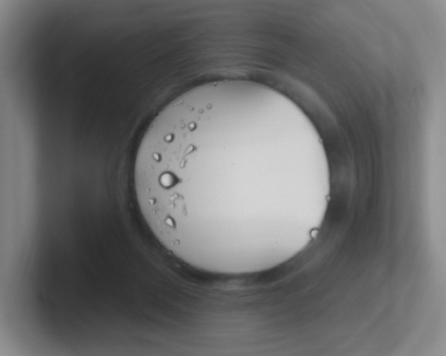 X0000102310120200807251049