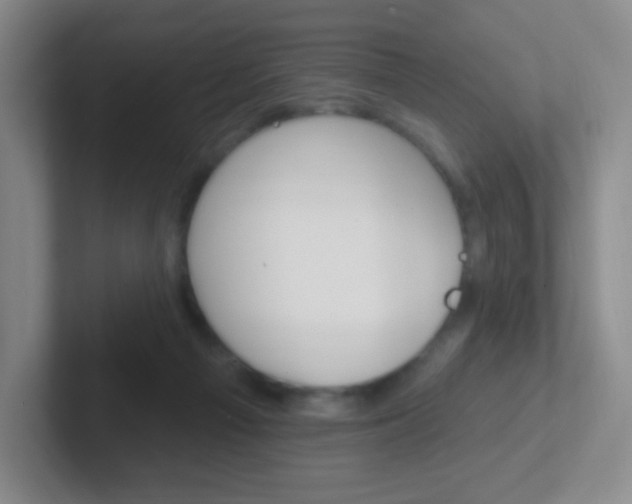 X0000102310121200807251049