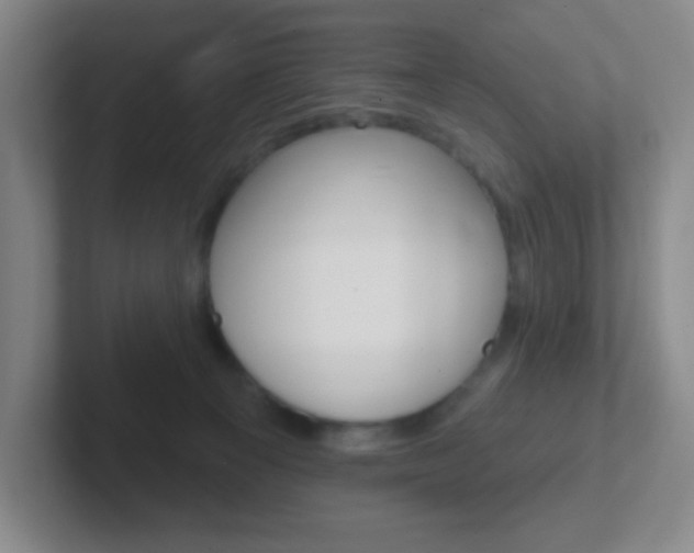 X0000102310129200807251049