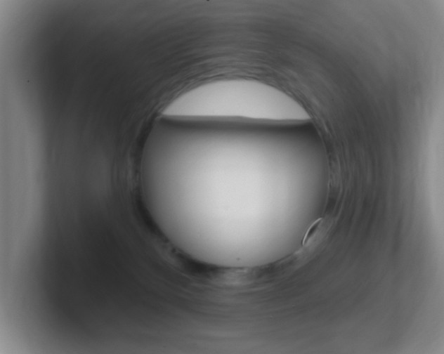 X0000102310136200807251049