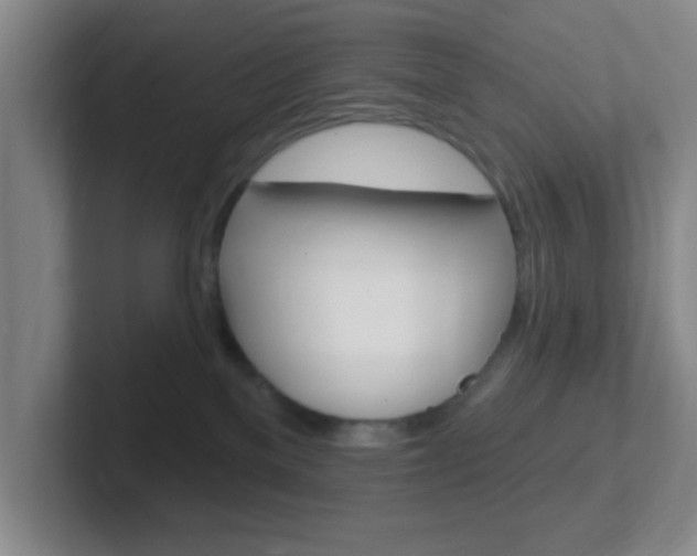 X0000102310137200807251049
