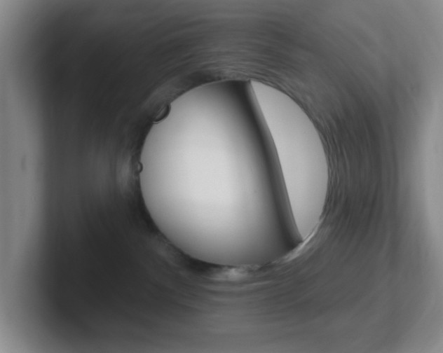 X0000102310140200807251049