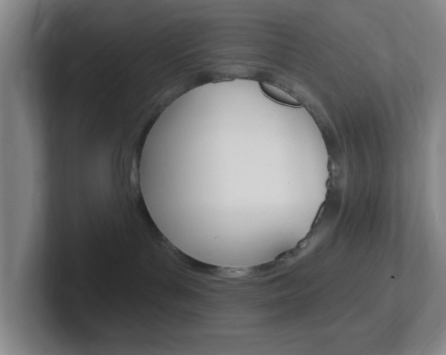 X0000102310143200807251048