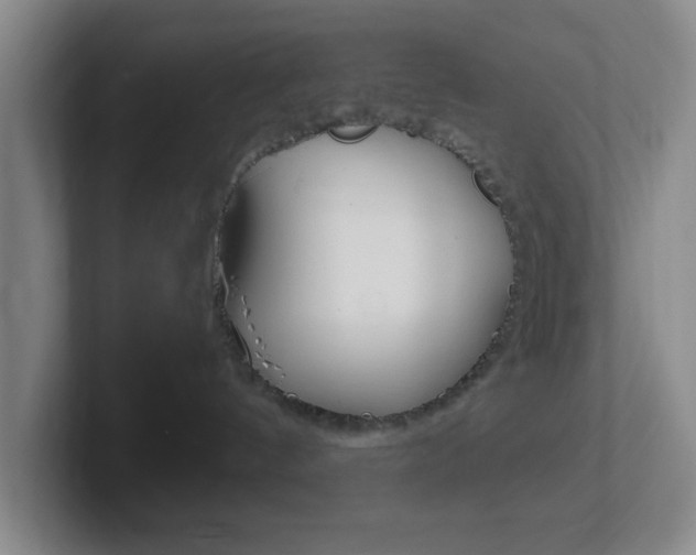 X0000102310144200807251048