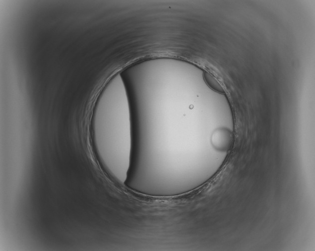 X0000102310145200807251048