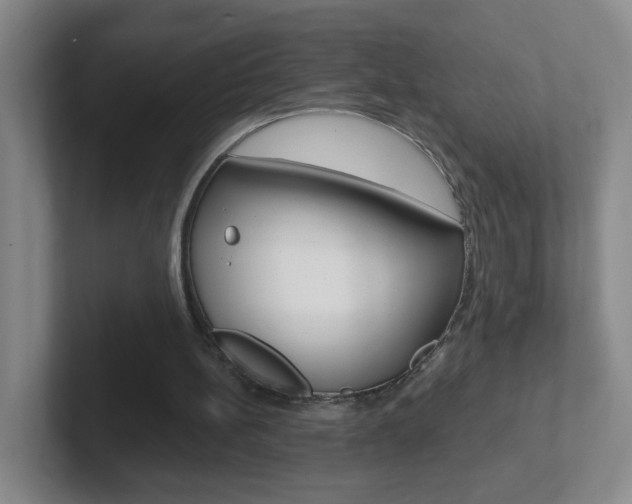 X0000102310148200807251048