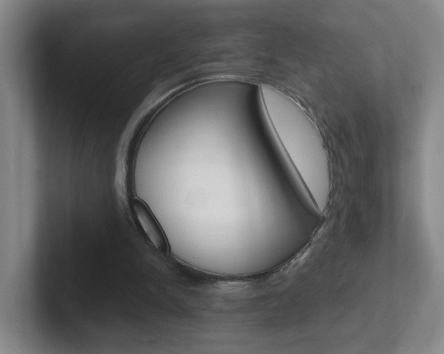 X0000102310150200807251048