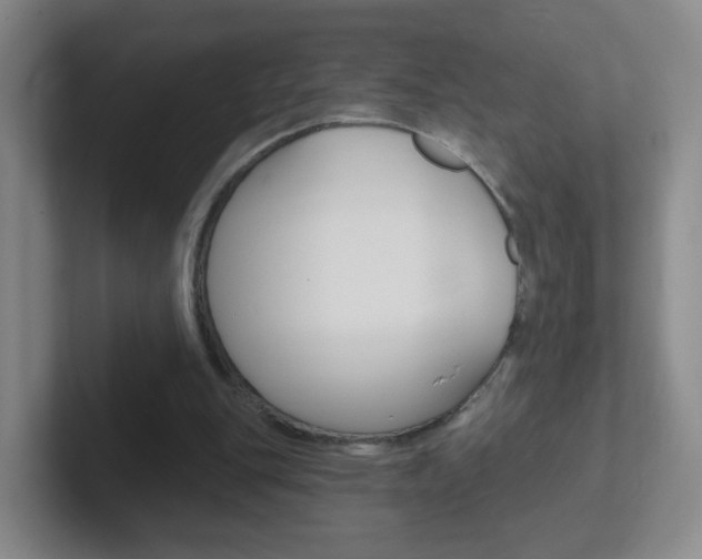 X0000102310151200807251048