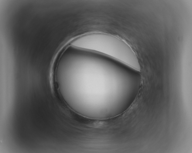 X0000102310152200807251048