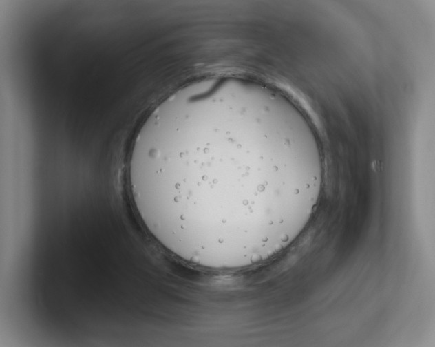 X0000102310153200807251048