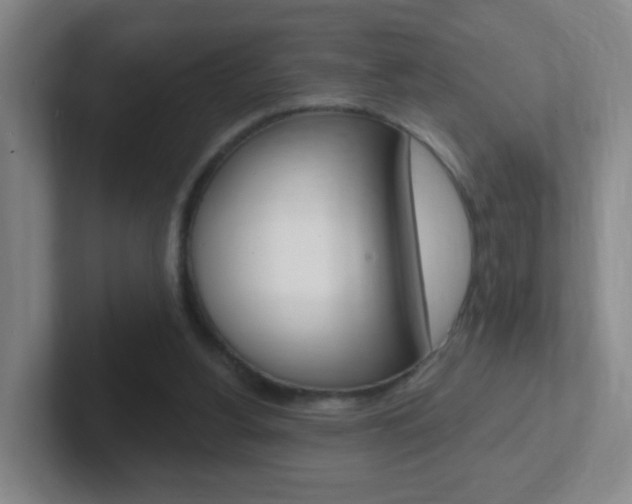 X0000102310156200807251048