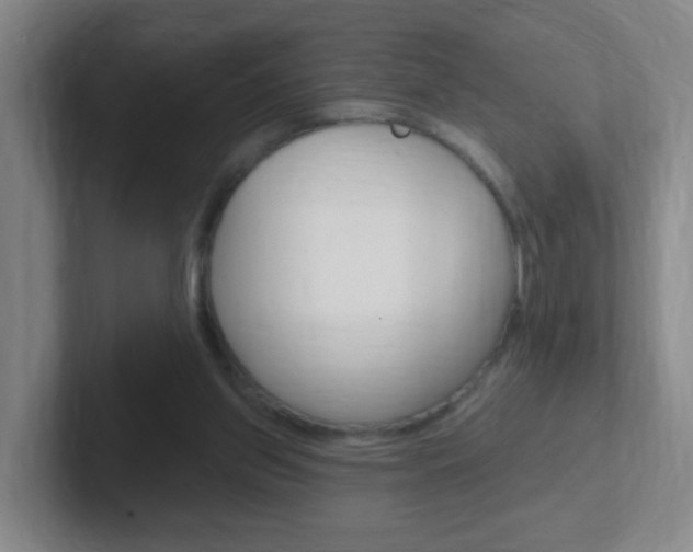 X0000102310157200807251048