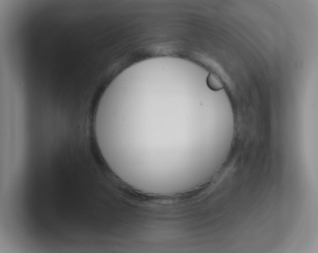 X0000102310161200807251048
