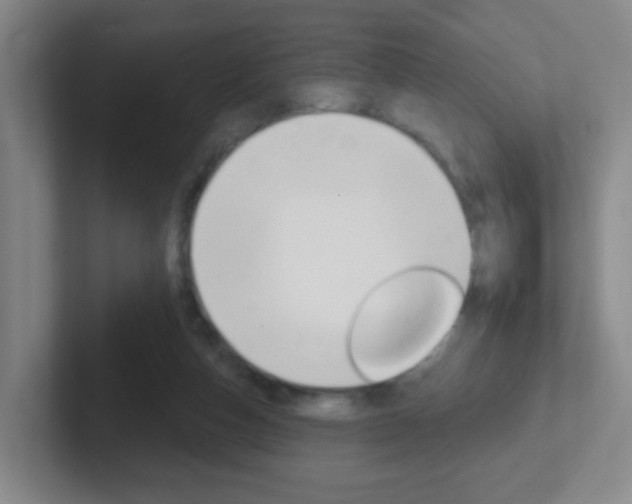 X0000102310162200807251048