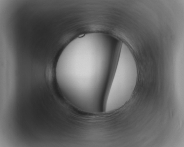X0000102310164200807251048
