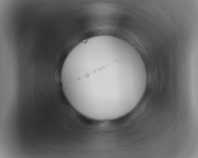 X0000102310173200807251048