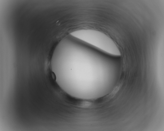 X0000102310176200807251048