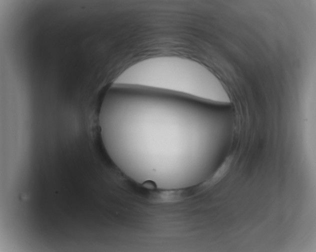 X0000102310184200807251048