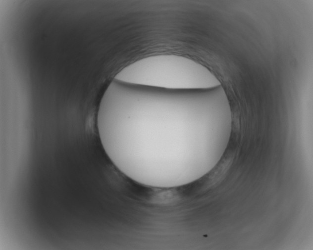 X0000102310185200807251048