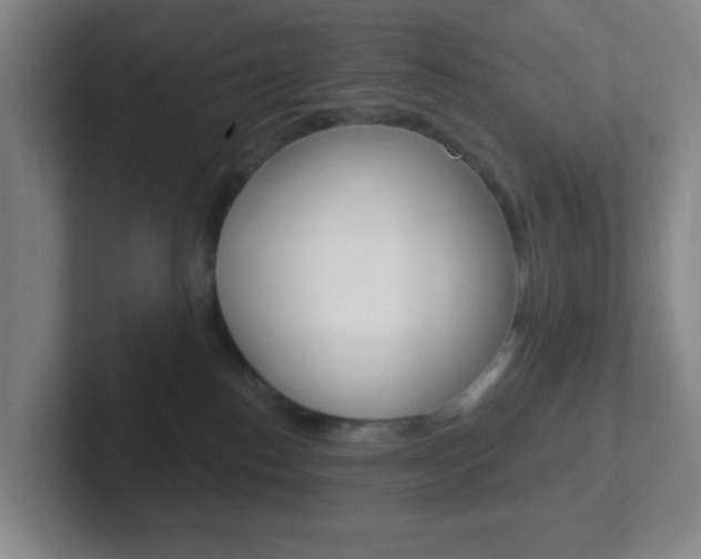 X0000102310186200807251048