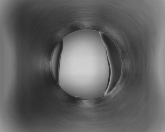 X0000102310188200807251048