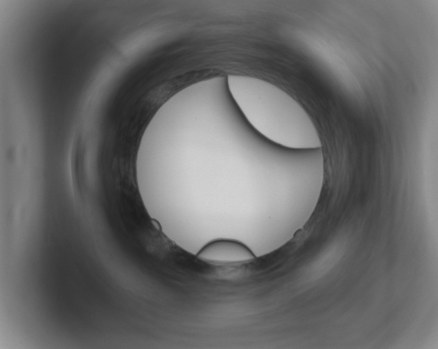 X0000102310189200807251048