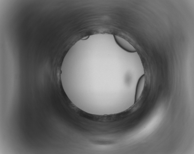 X0000102310191200807251048