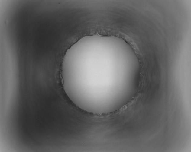 X0000102310192200807251048