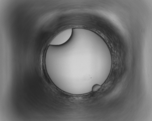 X0000102310194200807251048